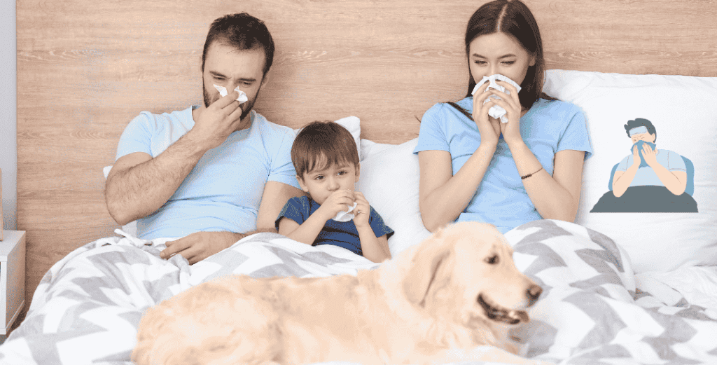 Causes of Bird Flu Symptoms in Humans
