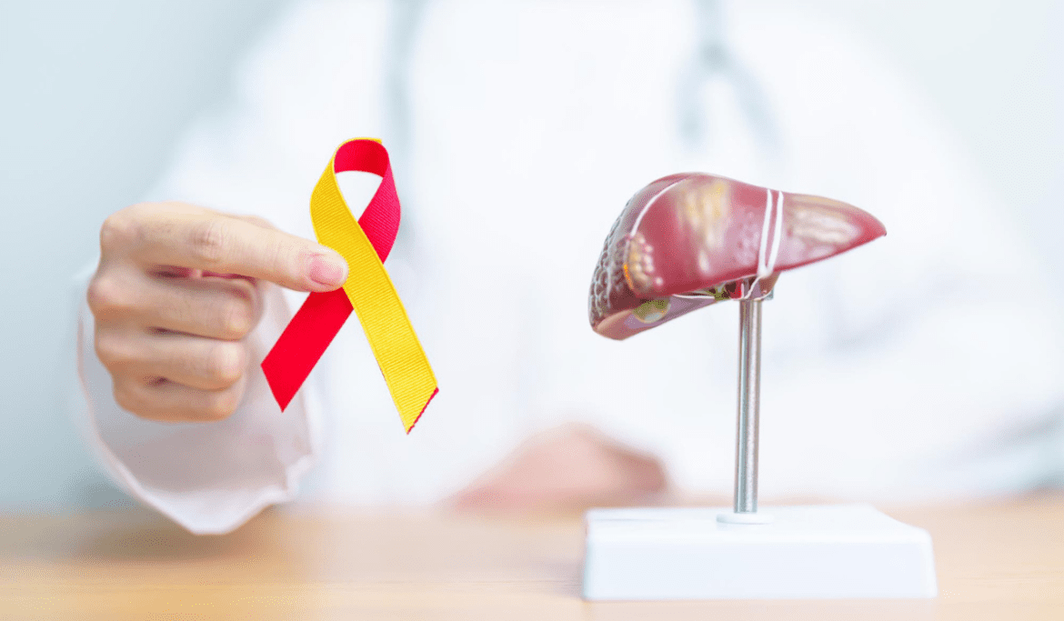 Hepatitis B is an infection caused by the virus that affects the liver causing it harm in the short-term and long-term.