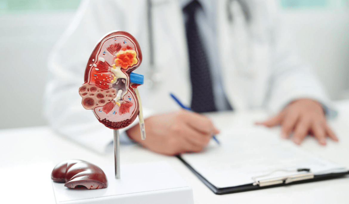 Kidney Health