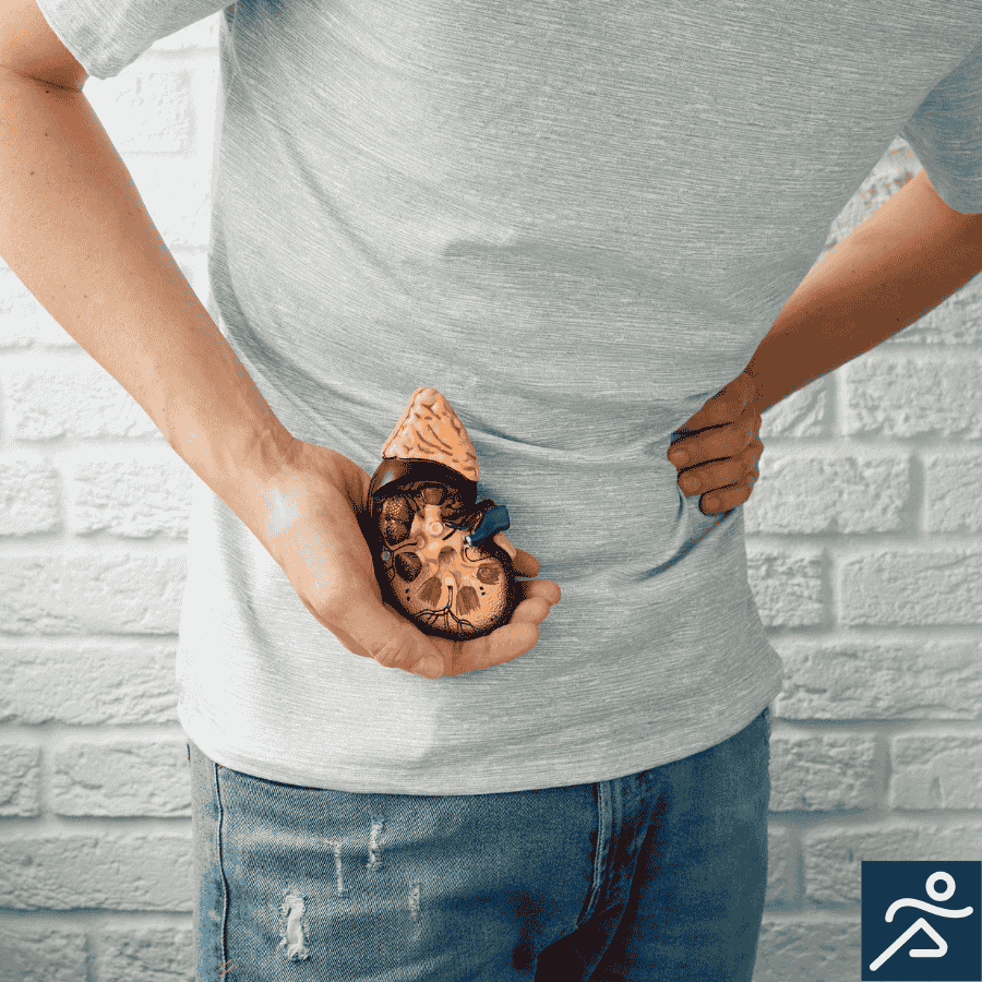 Kidney Stones