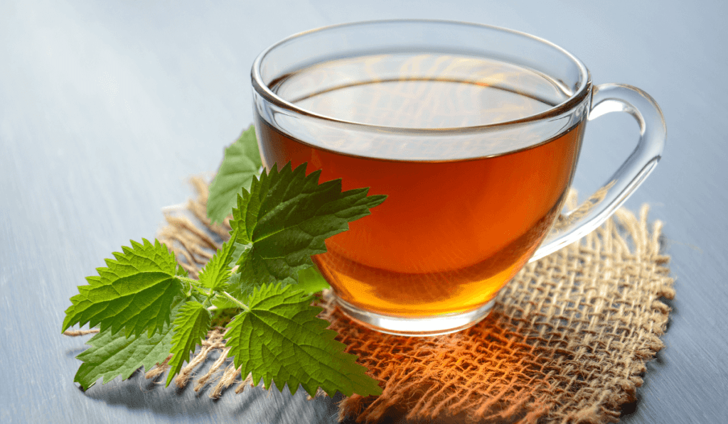 How to make Mullein Tea