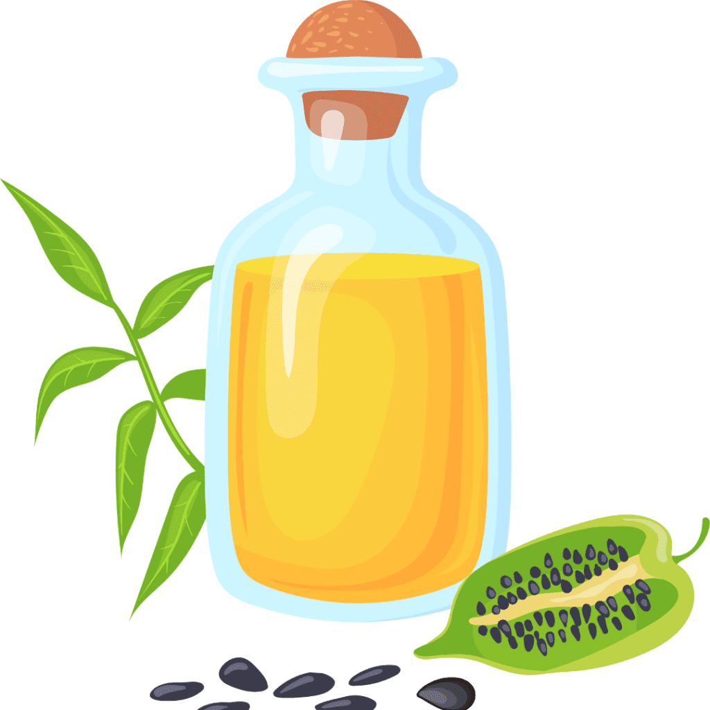 Top 10 List of Seed Oils for Cooking: Are They Healthy or Bad?