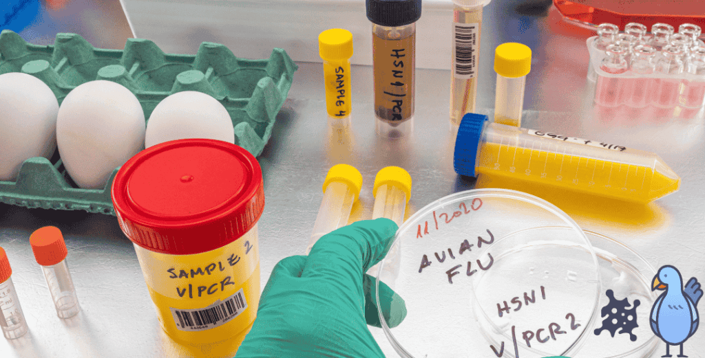 Testing of Bird Flu Symptoms in Humans